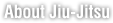 About Jiu-Jitsu